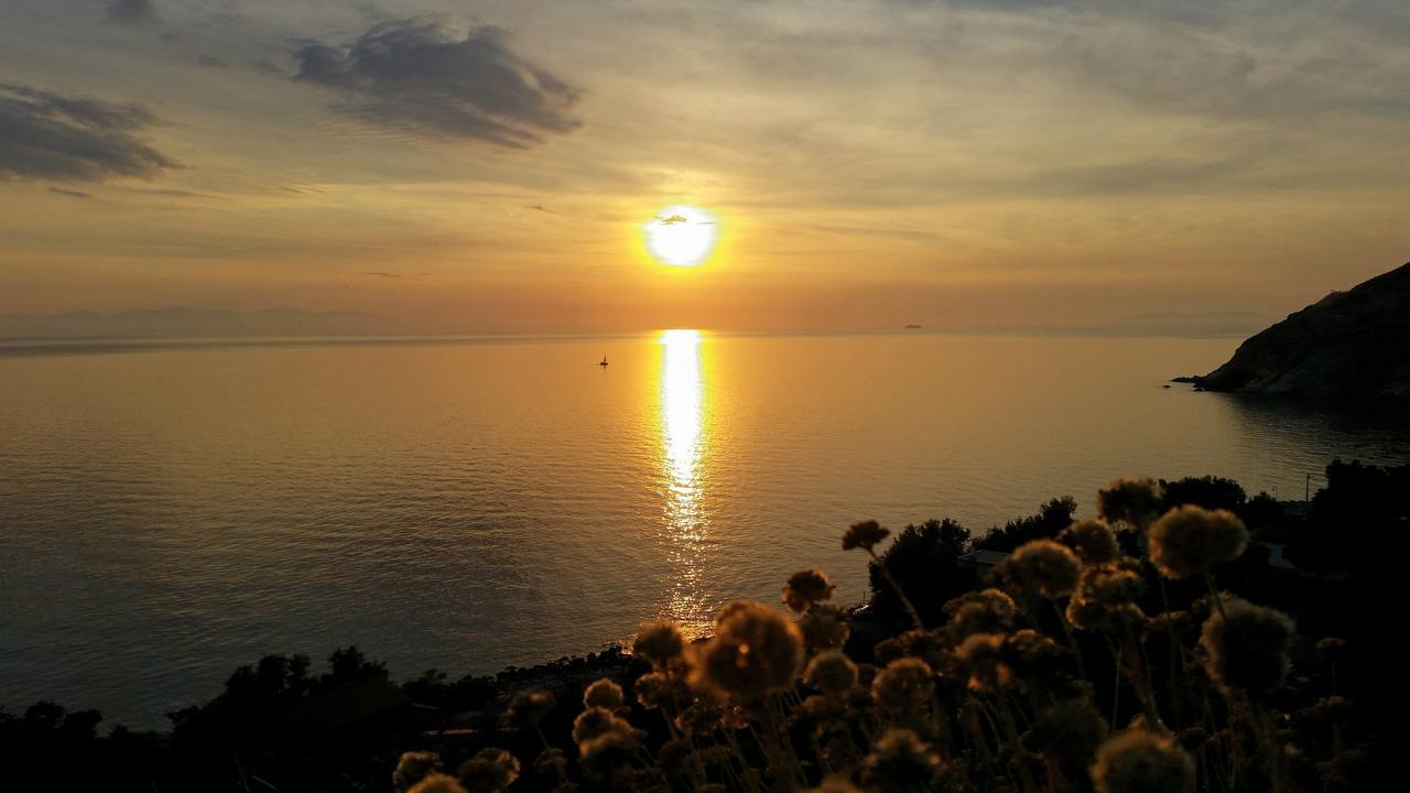 Hotel L'Ogliera Pomonte Dış mekan fotoğraf